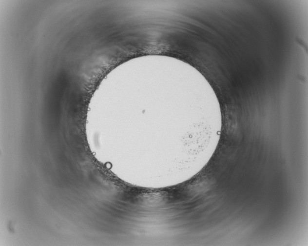 X0000103930307200810171758