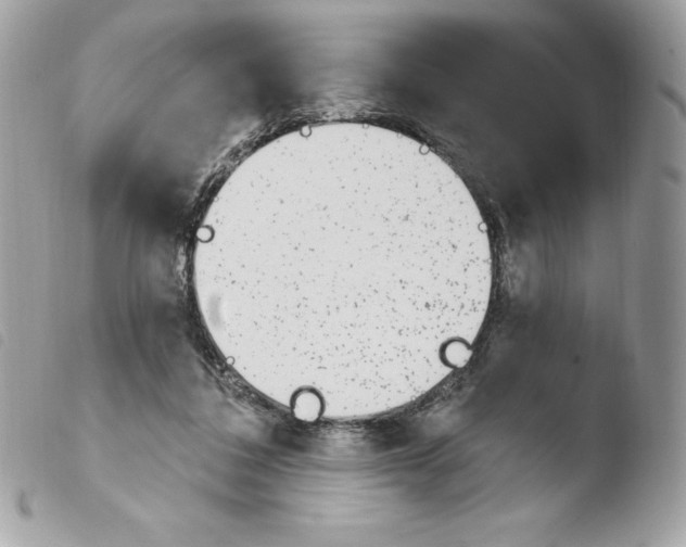 X0000103930308200810171758