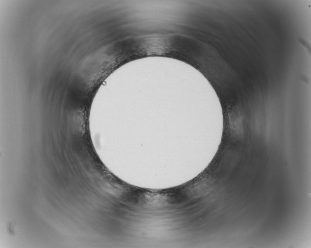 X0000103930311200810171758