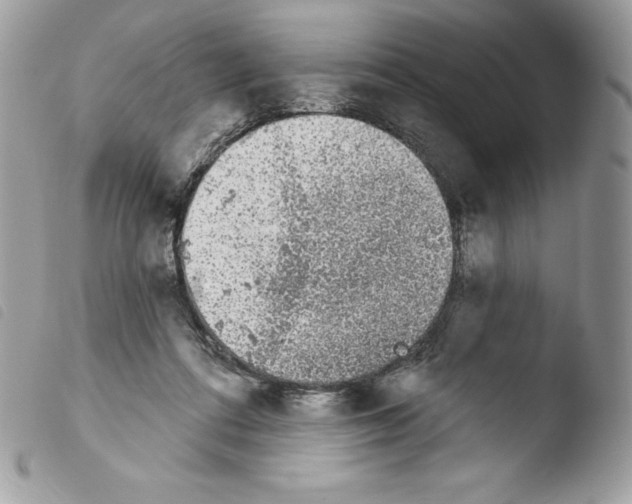 X0000103930312200810171757