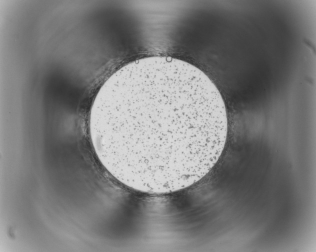 X0000103930313200810171757