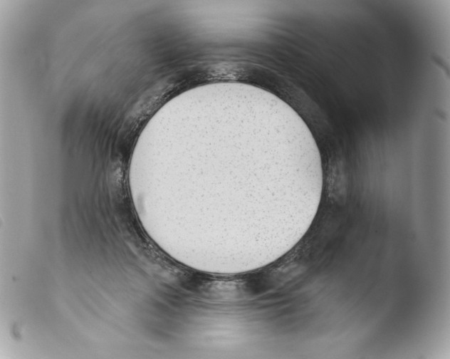 X0000103930314200810171757