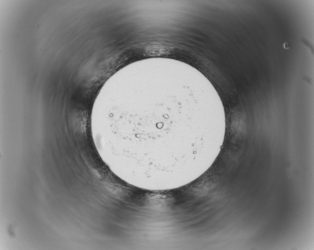 X0000103930315200810171757