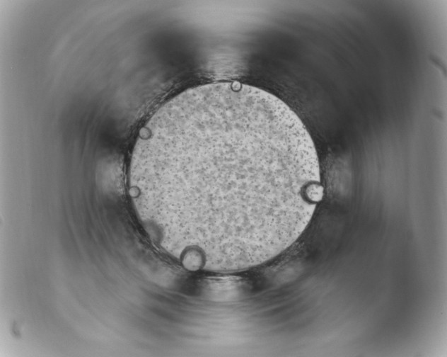 X0000103930316200810171757