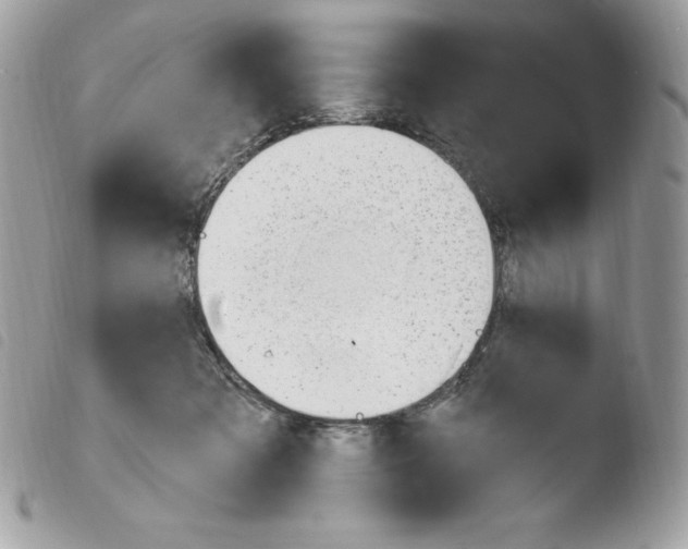 X0000103930317200810171757