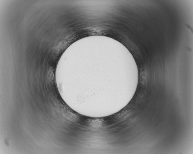 X0000103930318200810171757