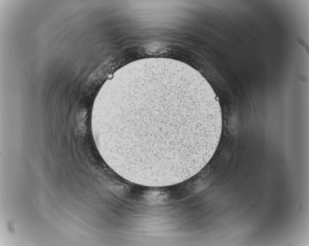 X0000103930319200810171757