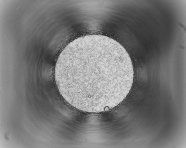 X0000103930320200810171757