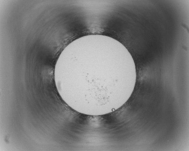 X0000103930321200810171757