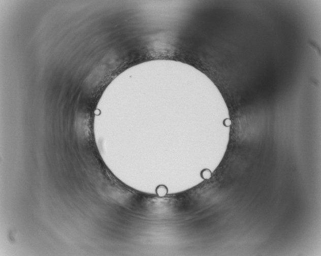 X0000103930323200810171757