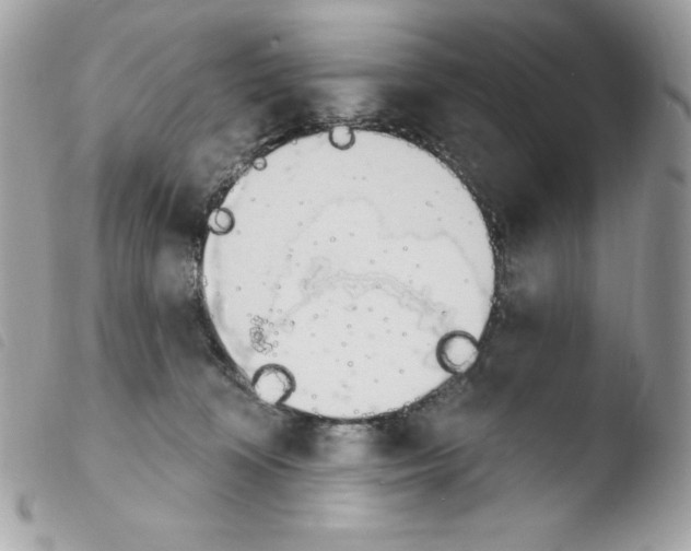 X0000103930324200810171757