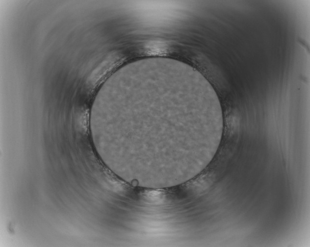 X0000103930325200810171757