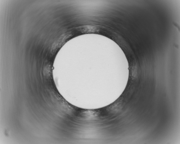 X0000103930326200810171757