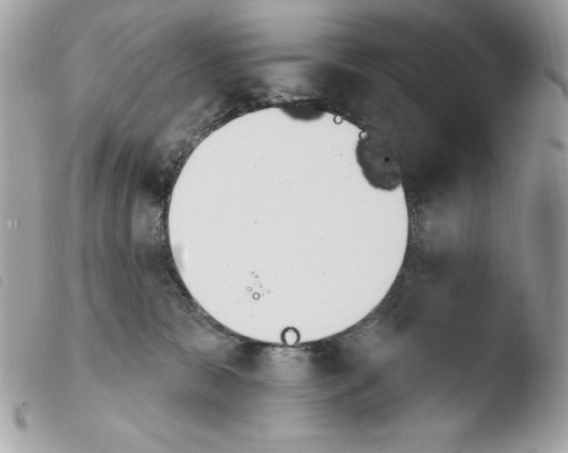 X0000103930327200810171757