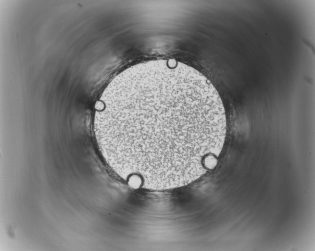 X0000103930328200810171757