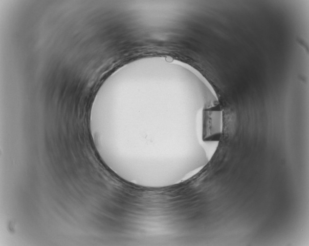 X0000103930329200810171757