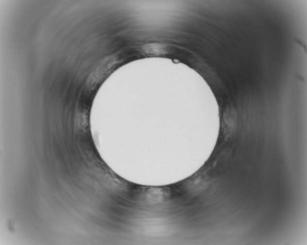 X0000103930330200810171757