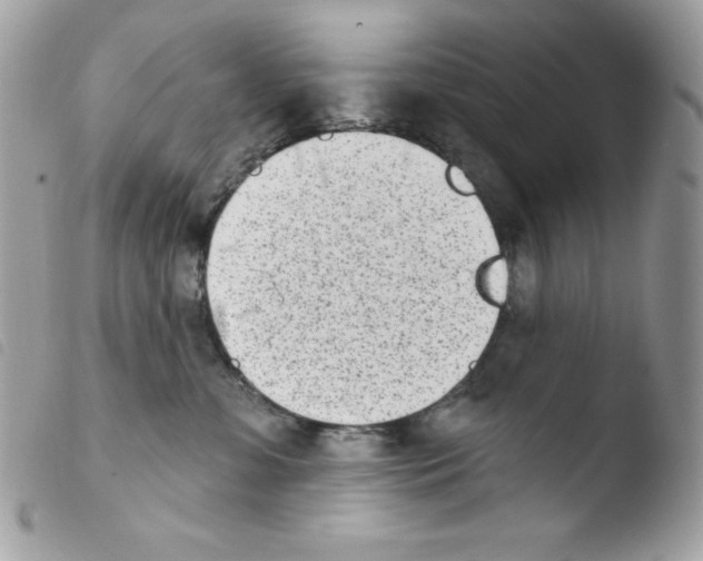 X0000103930331200810171757