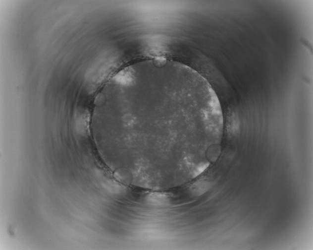 X0000103930332200810171757