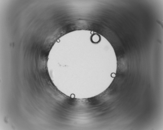 X0000103930333200810171757