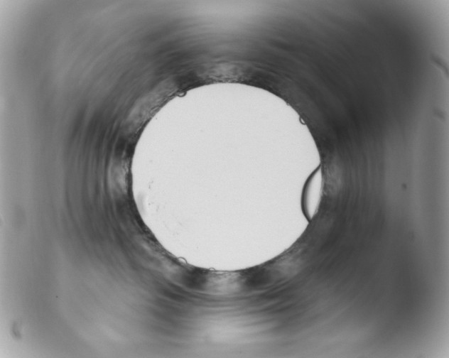 X0000103930334200810171757