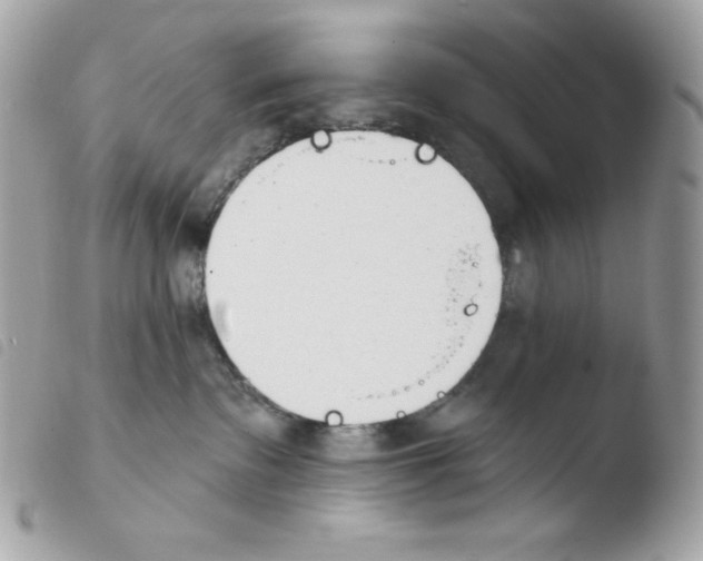 X0000103930335200810171757