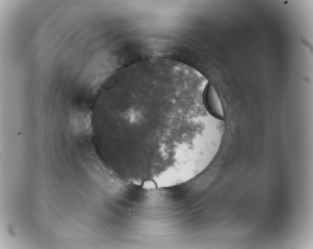 X0000103930336200810171757