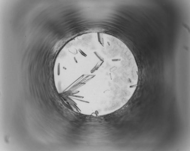 X0000103930337200810171757