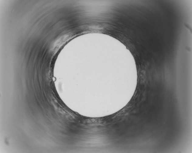 X0000103930338200810171757