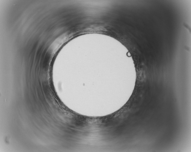 X0000103930340200810171757