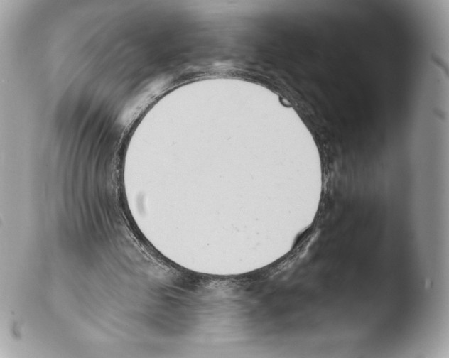 X0000103930341200810171757