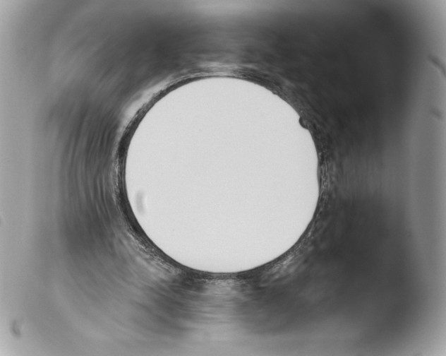 X0000103930342200810171757