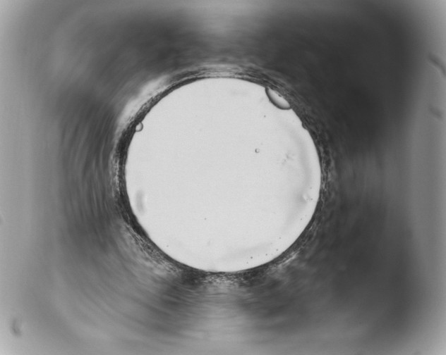 X0000103930343200810171757