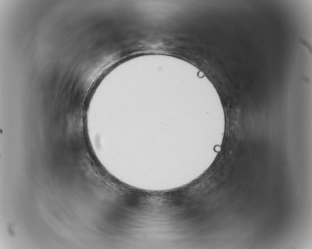 X0000103930344200810171757