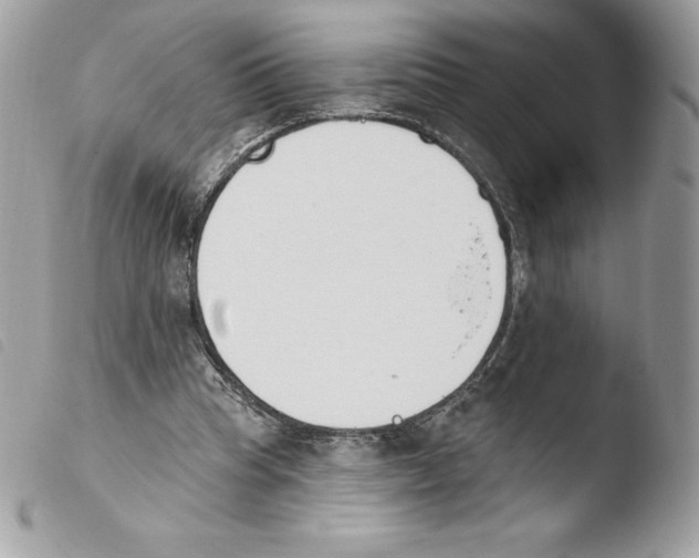 X0000103930345200810171757