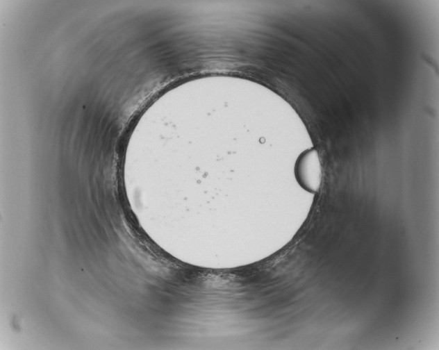 X0000103930346200810171757