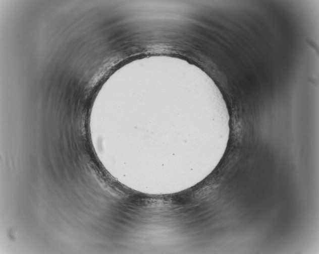 X0000103930347200810171757