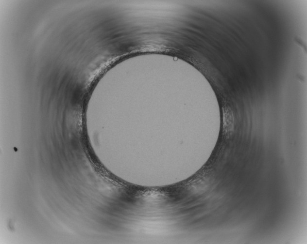 X0000103930348200810171757