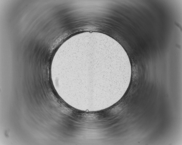 X0000103930349200810171757