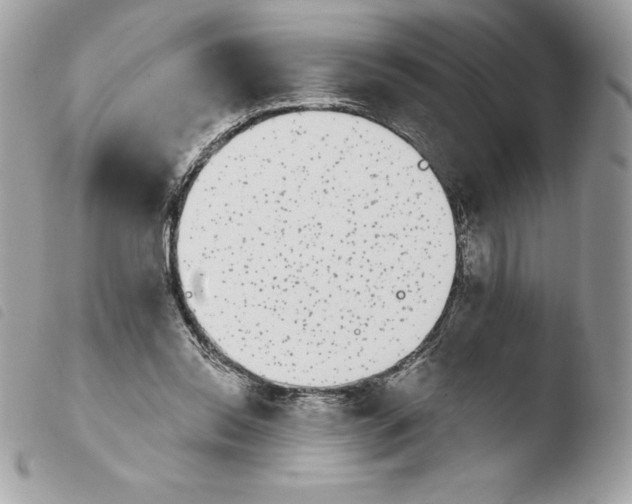 X0000103930350200810171757