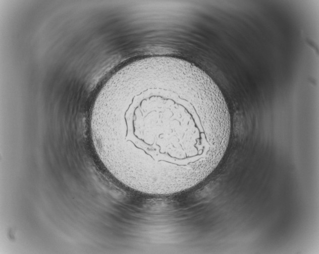 X0000103930351200810171757