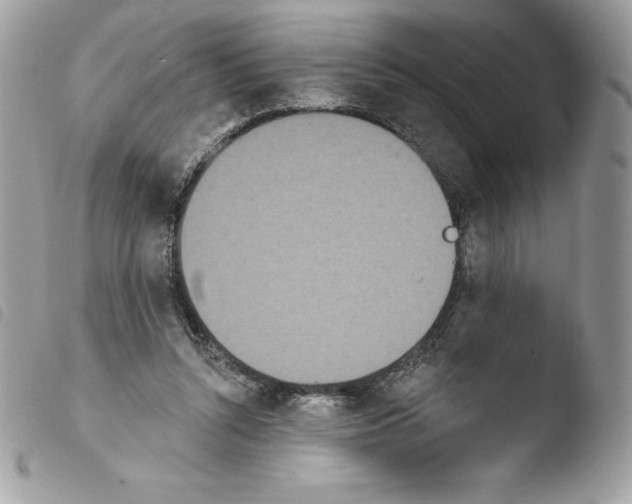 X0000103930352200810171757