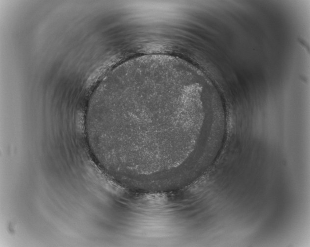 X0000103930353200810171757