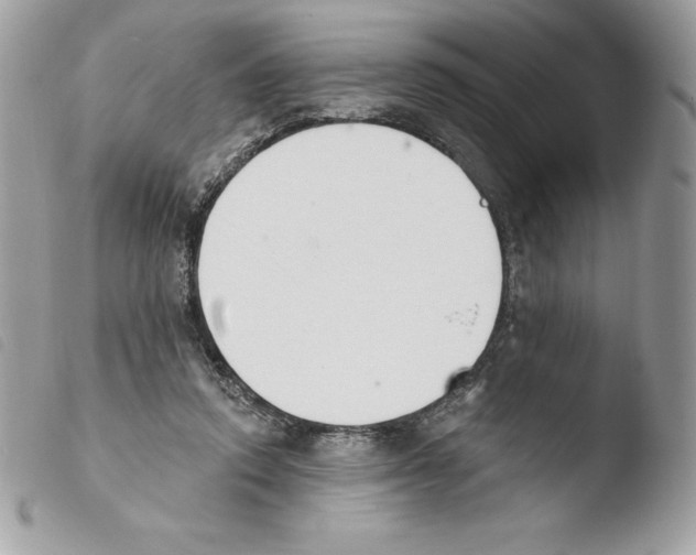 X0000103930354200810171757