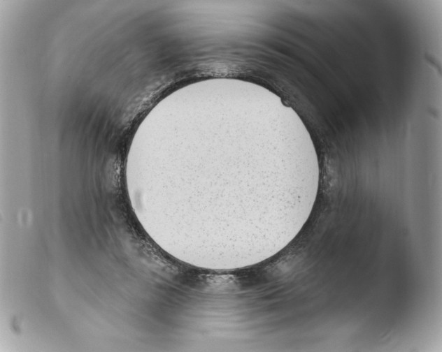 X0000103930355200810171757