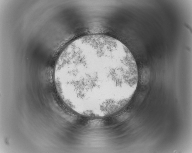 X0000103930356200810171757