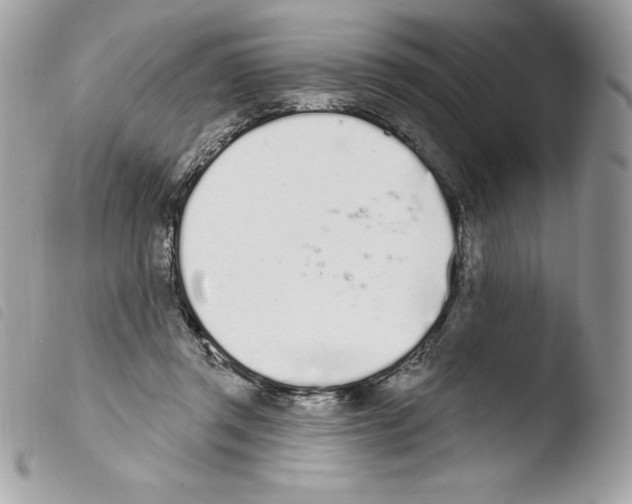 X0000103930357200810171757