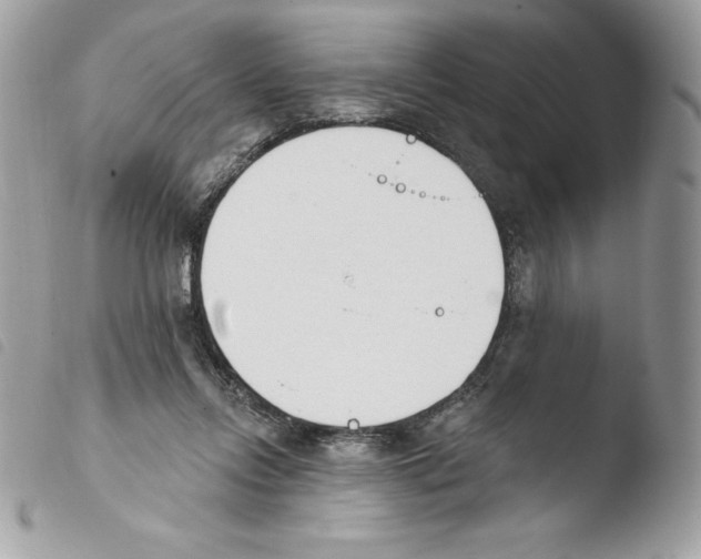 X0000103930358200810171757