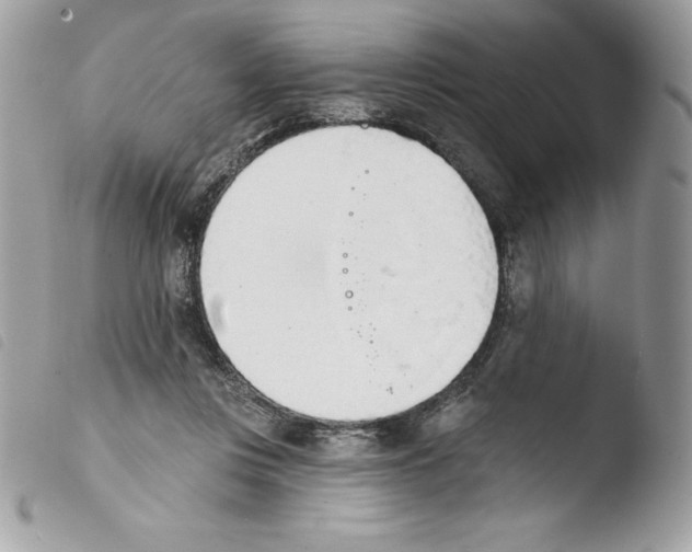 X0000103930359200810171757