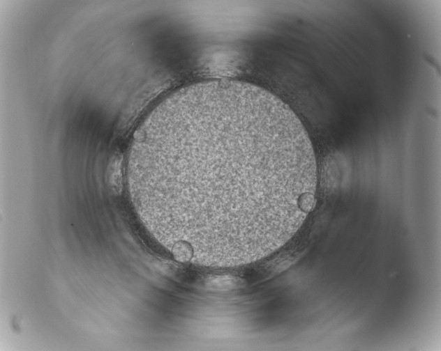 X0000103930360200810171757